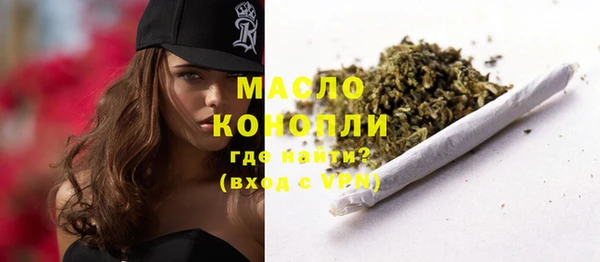 МДПВ Инта