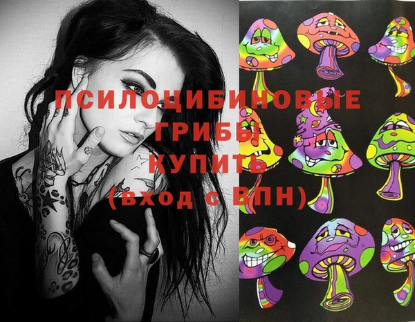 марки nbome Инсар