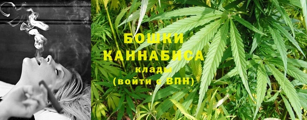 МДПВ Инта