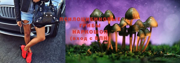 марки nbome Инсар